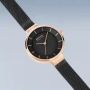 Bering 14631-166