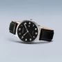 Bering 18640-402